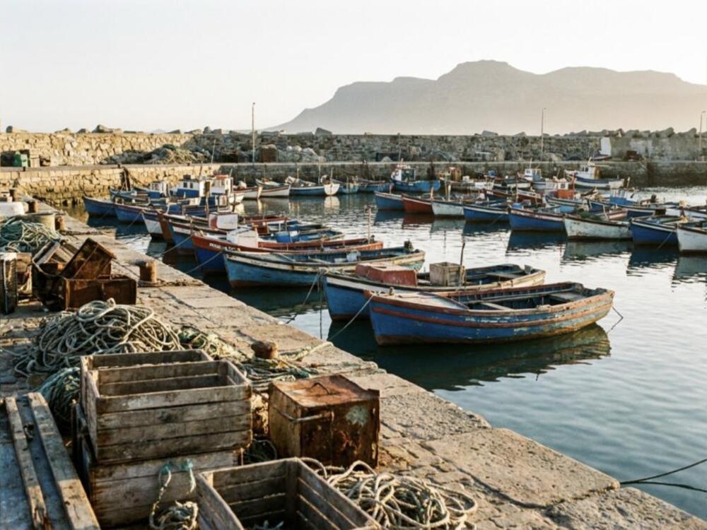 Small colourful wooden fishing boats moored in the Gordon's Bay old harbour in late afternoon light.